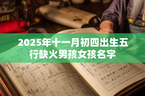 2025年十一月初四出生五行缺火男孩女孩名字