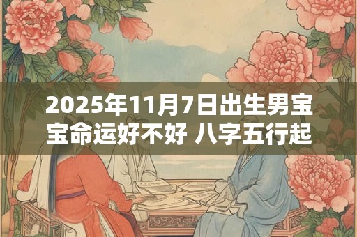 2025年11月7日出生男宝宝命运好不好 八字五行起名最全款