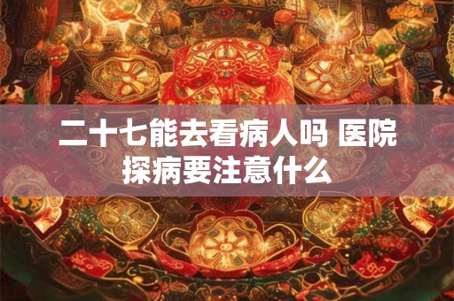 二十七能去看病人吗 医院探病要注意什么 二十七能去看病人吗 医院探病要注意什么
