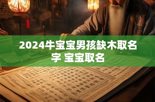 2024牛宝宝男孩缺木取名字 宝宝取名