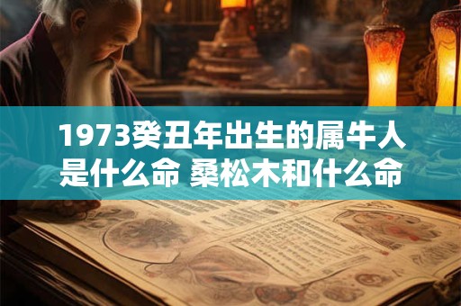1973癸丑年出生的属牛人是什么命 桑松木和什么命最配