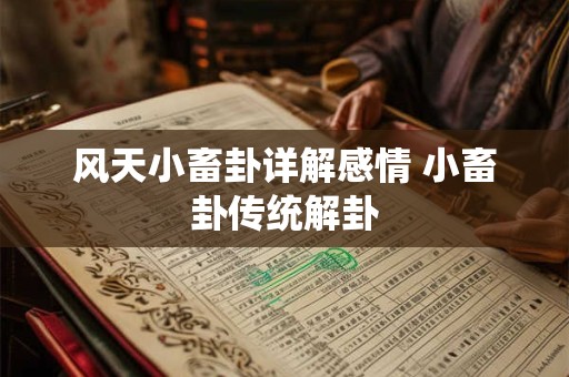 风天小畜卦详解感情 小畜卦传统解卦 风天小畜卦详解感情 小畜卦传统解卦