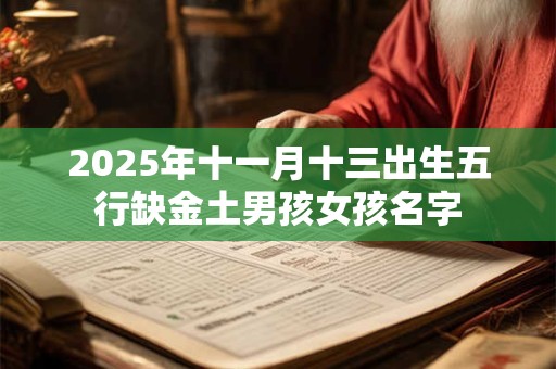 2025年十一月十三出生五行缺金土男孩女孩名字
