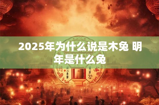2025年为什么说是木兔 明年是什么兔