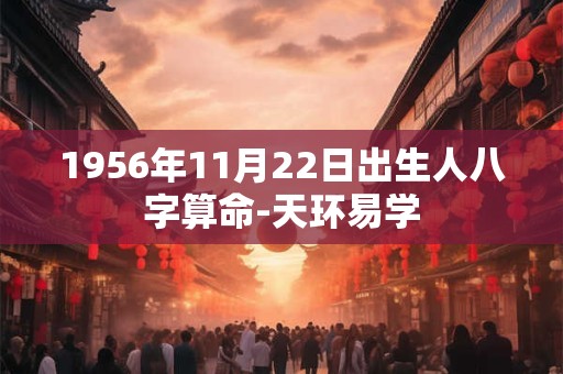 1956年11月22日出生人八字算命-天环易学