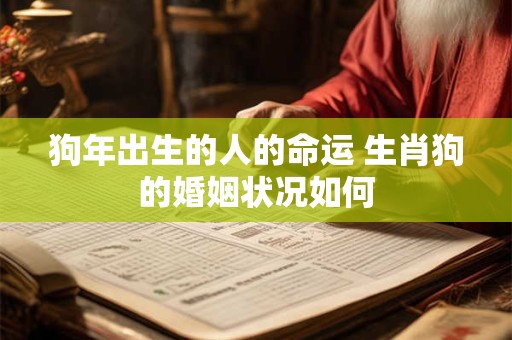 狗年出生的人的命运 生肖狗的婚姻状况如何 狗年出生的人的命运 生肖狗的婚姻状况如何