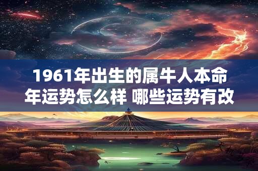 1961年出生的属牛人本命年运势怎么样 哪些运势有改变