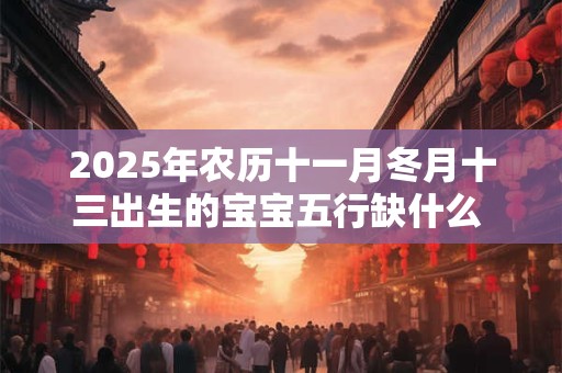 2025年农历十一月冬月十三出生的宝宝五行缺什么 是什么命