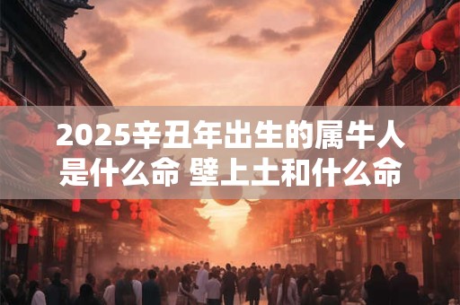 2025辛丑年出生的属牛人是什么命 壁上土和什么命最配