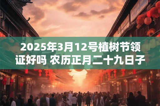 2025年3月12号植树节领证好吗 农历正月二十九日子黄历
