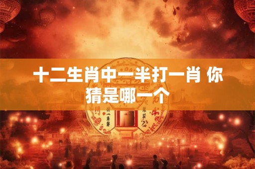 十二生肖中一半打一肖 你猜是哪一个 十二生肖中一半打一肖 你猜是哪一个