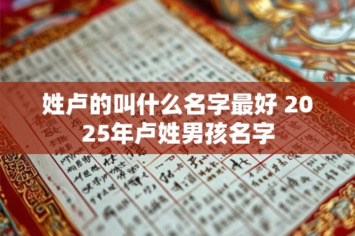 姓卢的叫什么名字最好 2025年卢姓男孩名字