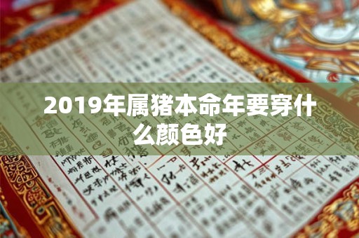 2019年属猪本命年要穿什么颜色好