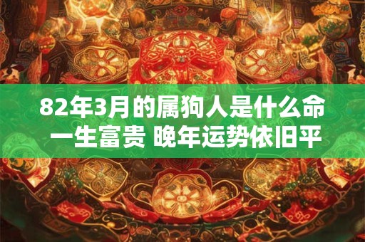 82年3月的属狗人是什么命 一生富贵 晚年运势依旧平稳