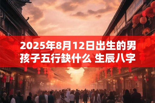 2025年8月12日出生的男孩子五行缺什么 生辰八字高分取名