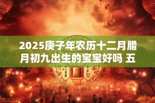 2025庚子年农历十二月腊月初九出生的宝宝好吗 五行八字查询