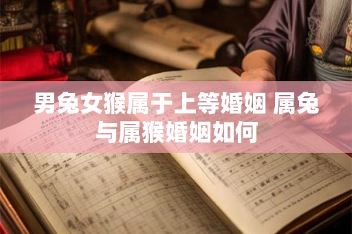 男兔女猴属于上等婚姻 属兔与属猴婚姻如何