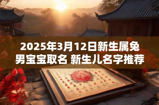 2025年3月12日新生属兔男宝宝取名 新生儿名字推荐
