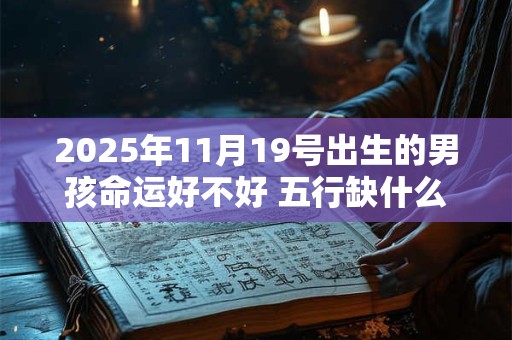 2026年11月19号出生的男孩命运好不好 五行缺什么 2026年11月19号出生的男孩命运好不好 五行缺什么
