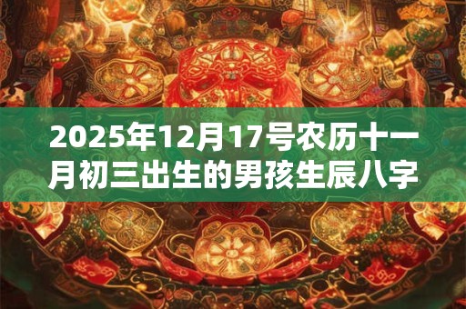 2025年12月17号农历十一月初三出生的男孩生辰八字起名