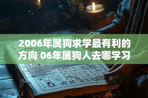 2006年属狗求学最有利的方向 06年属狗人去哪学习好