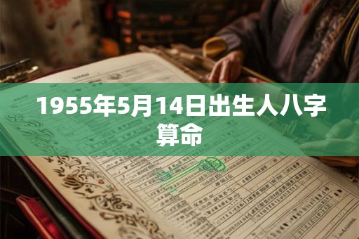 1955年5月14日出生人八字算命