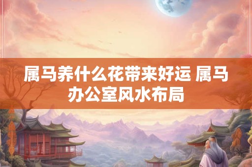 属马养什么花带来好运 属马办公室风水布局 属马养什么花带来好运 属马办公室风水布局