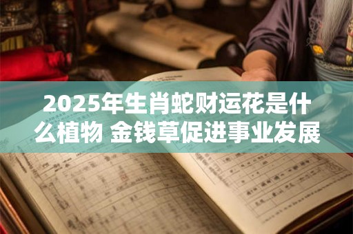 2025年生肖蛇财运花是什么植物 金钱草促进事业发展