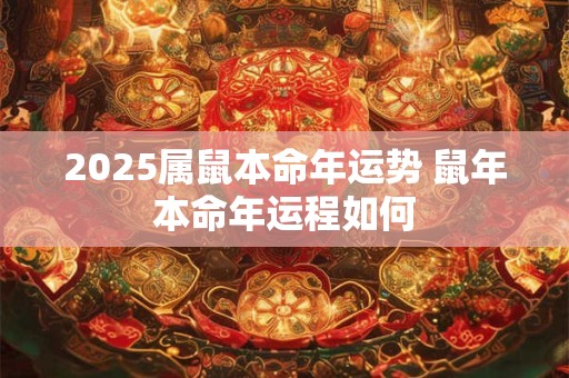 2025属鼠本命年运势 鼠年本命年运程如何 2025属鼠本命年运势 鼠年本命年运程如何