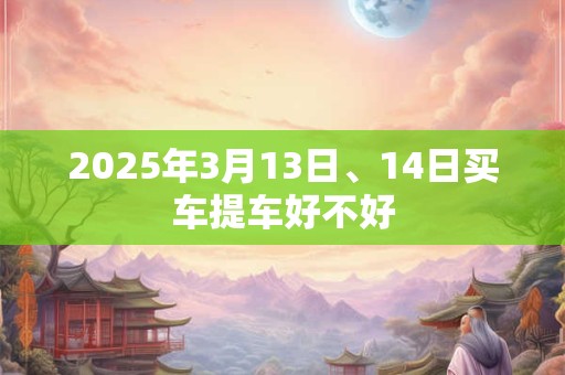 2025年3月13日、14日买车提车好不好