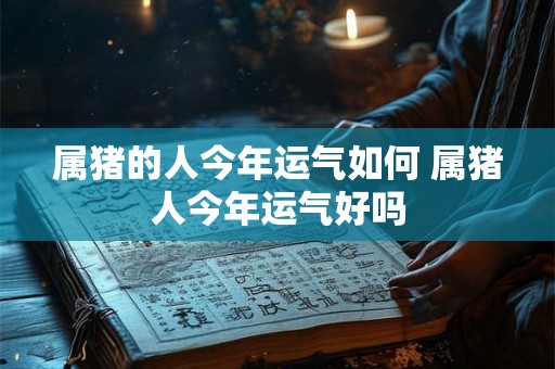 属猪的人今年运气如何 属猪人今年运气好吗