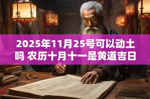 2025年11月25号可以动土吗 农历十月十一是黄道吉日吗