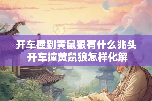 开车撞到黄鼠狼有什么兆头 开车撞黄鼠狼怎样化解
