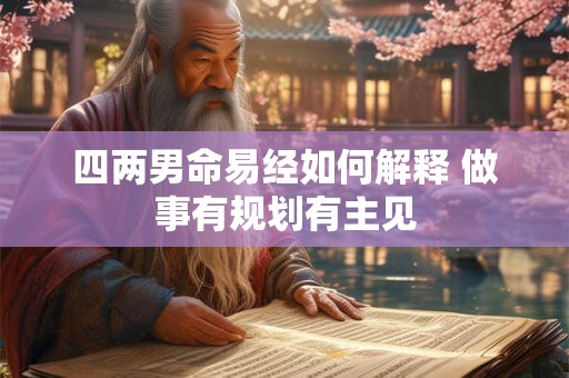 四两男命易经如何解释 做事有规划有主见 四两男命易经如何解释 做事有规划有主见