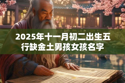 2025年十一月初二出生五行缺金土男孩女孩名字