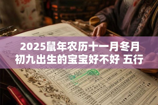 2025鼠年农历十一月冬月初九出生的宝宝好不好 五行缺什么