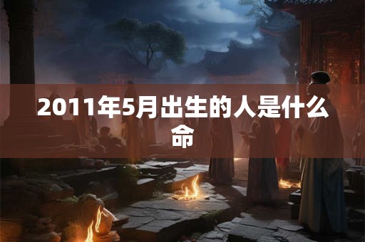 2011年5月出生的人是什么命
