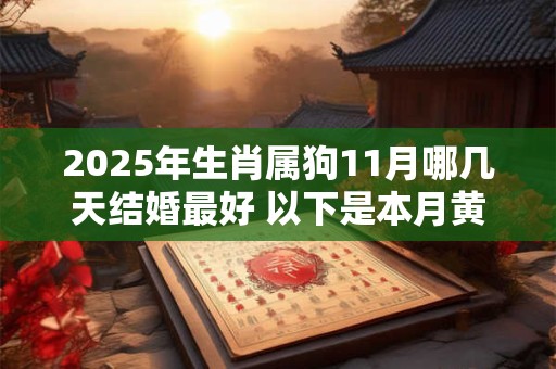2025年生肖属狗11月哪几天结婚最好 以下是本月黄道吉日