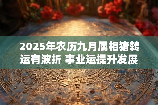 2025年农历九月属相猪转运有波折 事业运提升发展不明显