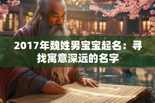 2017年魏姓男宝宝起名:寻找寓意深远的名字 2017年魏姓男宝宝起名:寻找寓意深远的名字