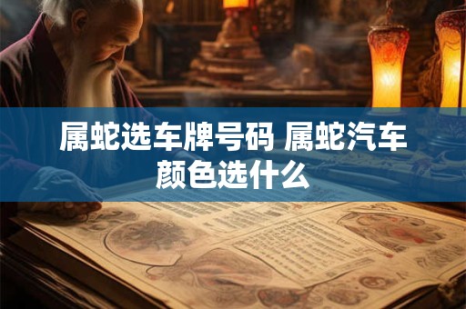 属蛇选车牌号码 属蛇汽车颜色选什么 属蛇选车牌号码 属蛇汽车颜色选什么