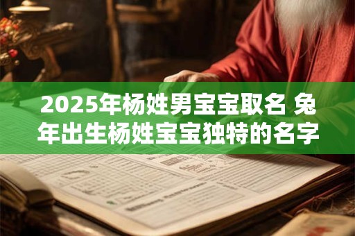 2025年杨姓男宝宝取名 兔年出生杨姓宝宝独特的名字