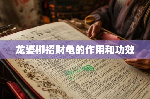 龙婆柳招财龟的作用和功效