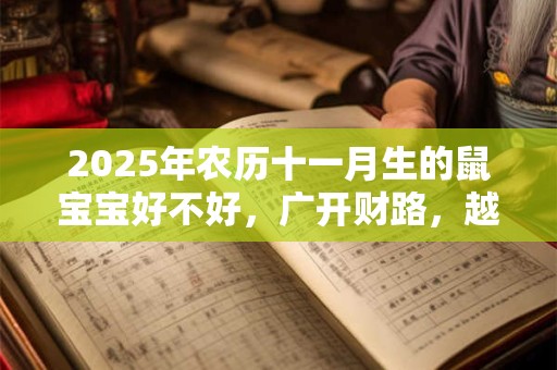 2025年农历十一月生的鼠宝宝好不好，广开财路，越老就越富有