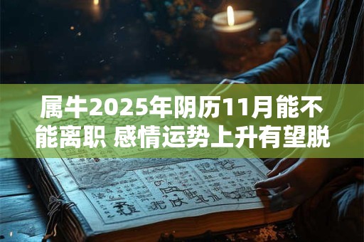 属牛2025年阴历11月能不能离职 感情运势上升有望脱单