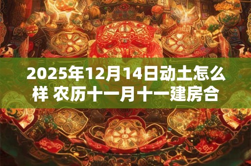 2025年12月14日动土怎么样 农历十一月十一建房合适吗