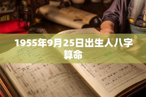 1955年9月25日出生人八字算命