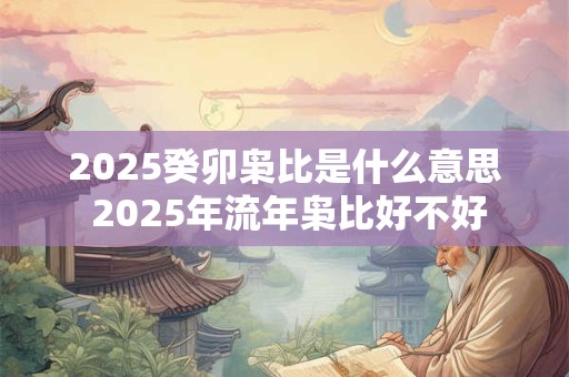 详细阅读:2025癸卯枭比是什么意思 2025年流年枭比好不好 2025癸卯枭比是什么意思 2025年流年枭比好不好