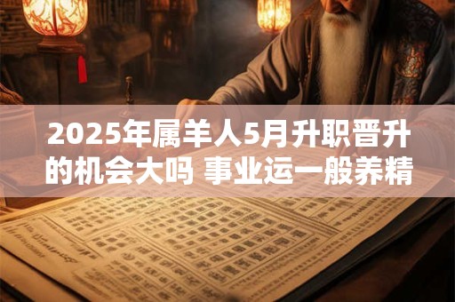 2025年属羊人5月升职晋升的机会大吗 事业运一般养精蓄锐