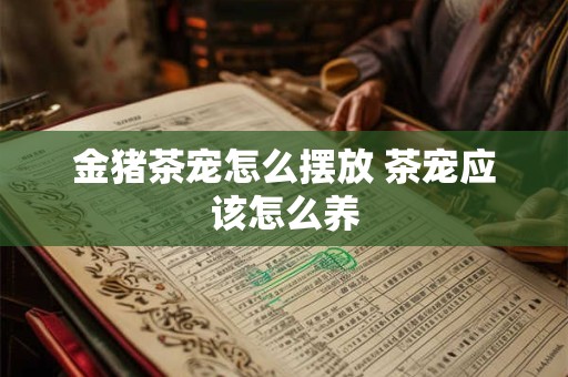 金猪茶宠怎么摆放 茶宠应该怎么养 金猪茶宠怎么摆放 茶宠应该怎么养